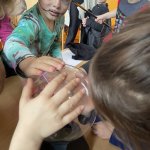 phoca_thumb_m_duikov den  8 Fotogalerie